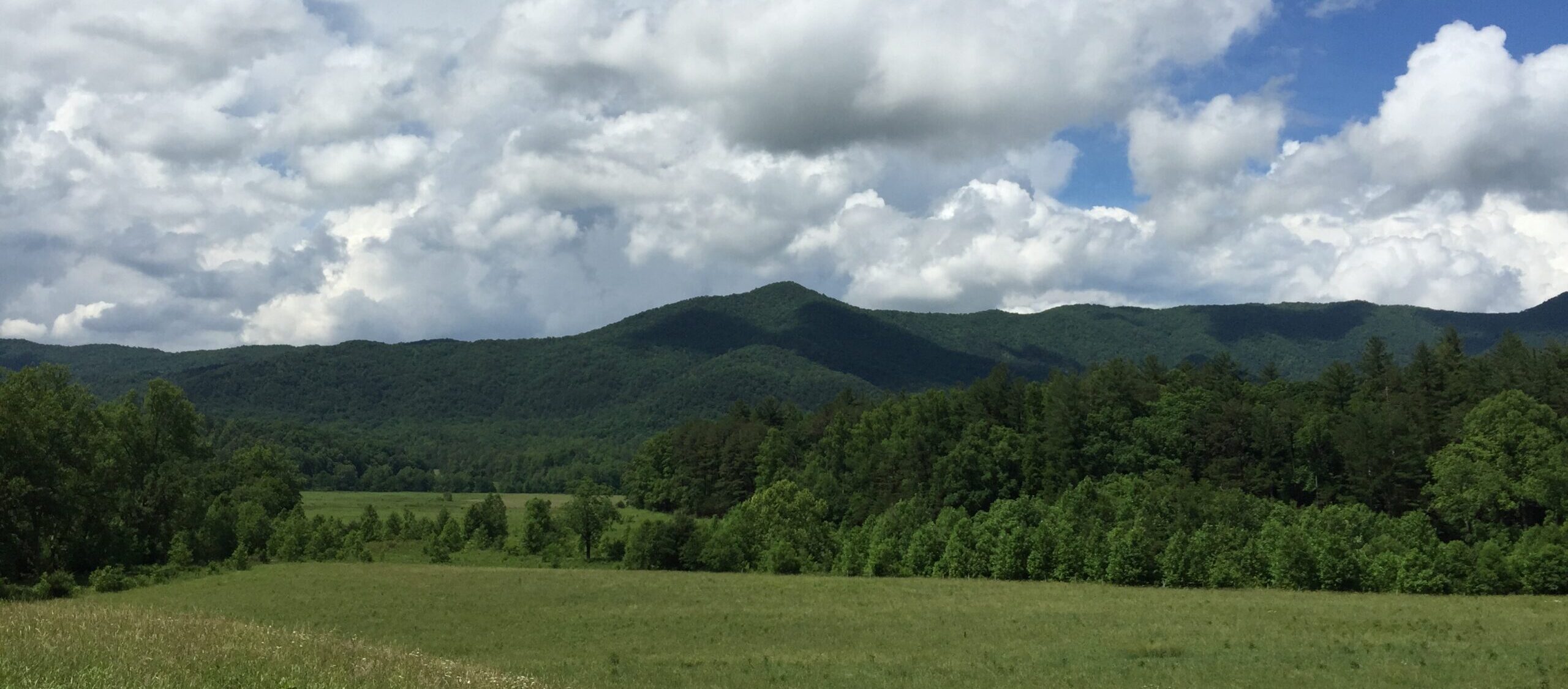 Cades Cove, Great Smoky Mountains National Park, Tennessee, with fields in foreground ringed by woods, wooded foothill mountains in background, bright white puffy clouds against deep blue sky